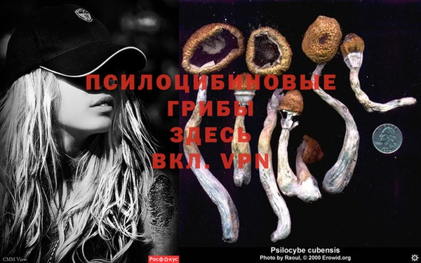 твердый Богородицк