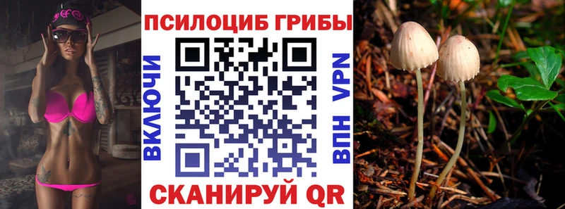 ссылка на мегу ССЫЛКА  Петропавловск-Камчатский  Галлюциногенные грибы Psilocybine cubensis  даркнет сайт 